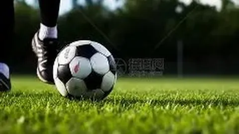 乐鱼体育 资讯 173033 ly1