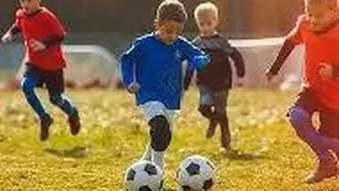 乐鱼体育 资讯 173105 pp0