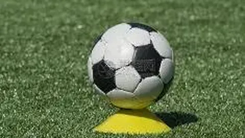 《热刺球迷心碎时刻：列维离职，失去那颗明确的情感寄托之星》